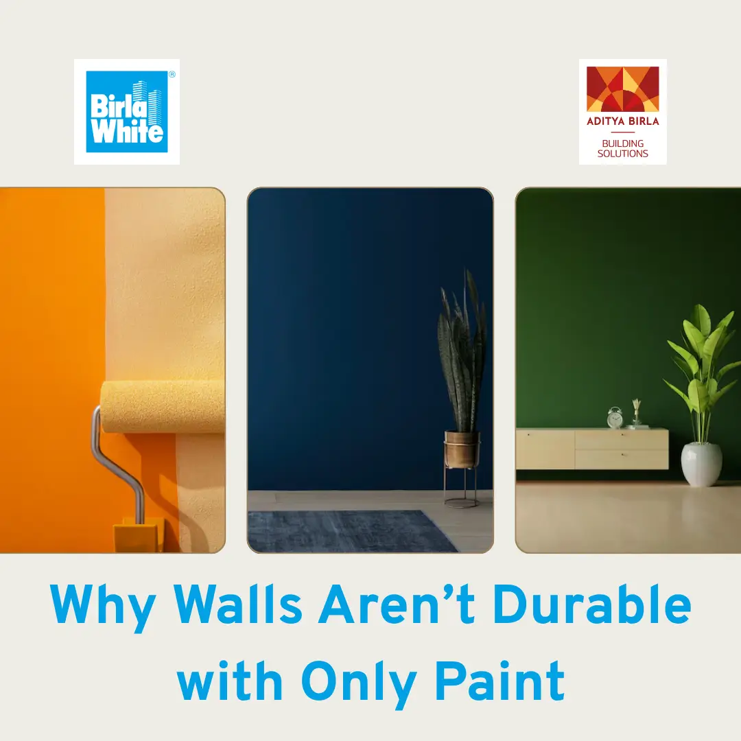 A_Deep_Dive_into_Long-Lasting_Walls (1).webp