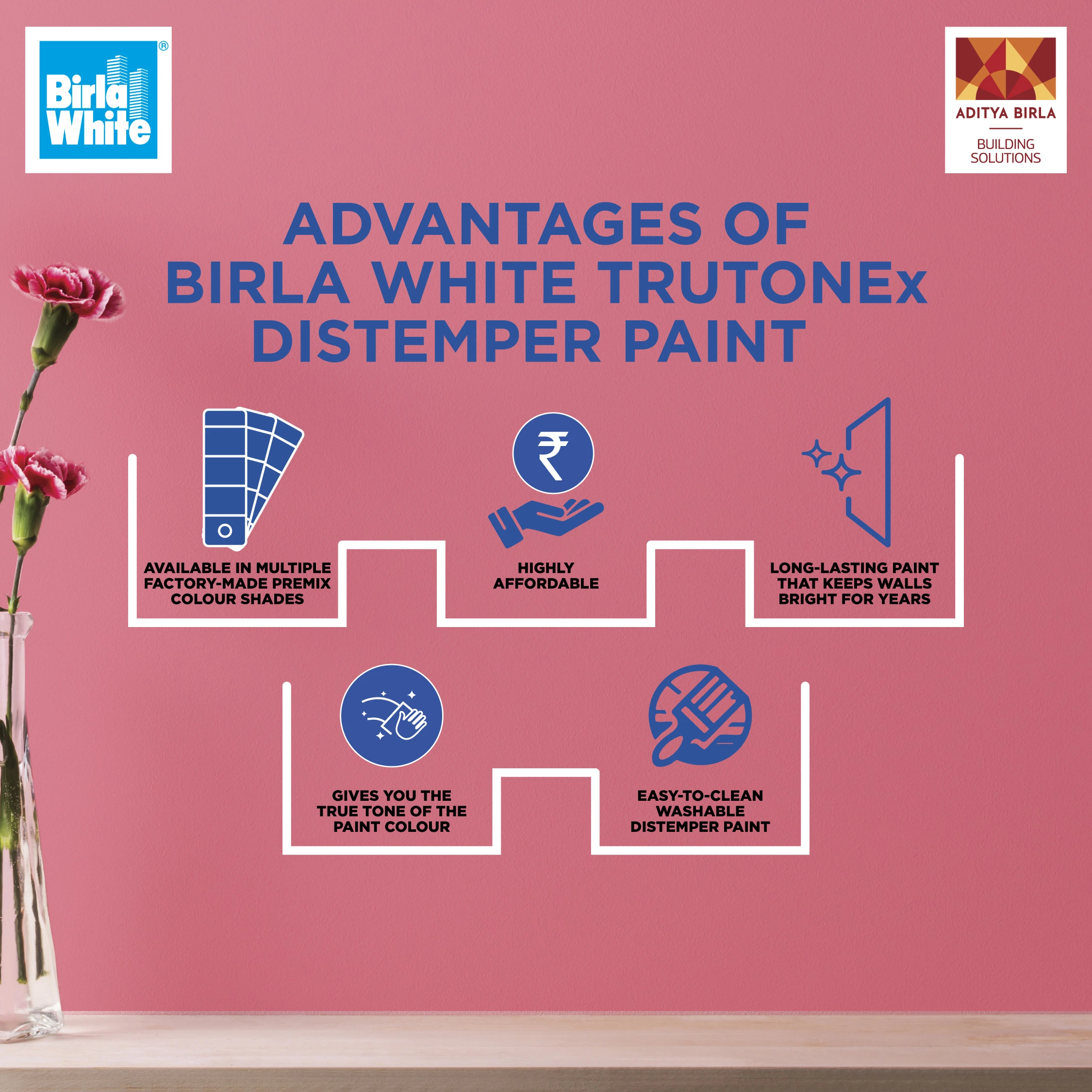 Benefits of Birla White TRUTONEx Distemper Paint.webp
