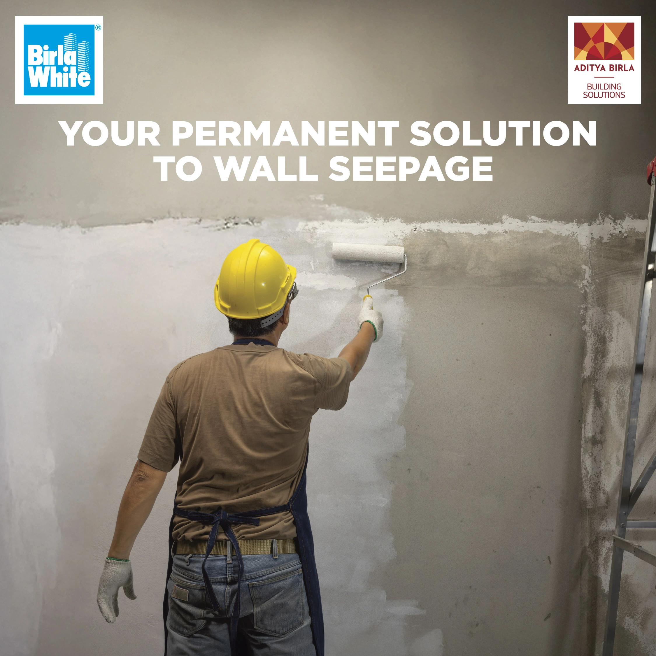 Birla White Seep Guard Your Permanent Solution to Wall Seepage.webp