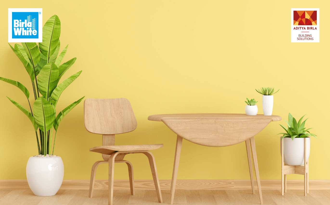 Choosing the Right Type of Distemper Paint for Your Home A Complete Buyers Guide 1.webp