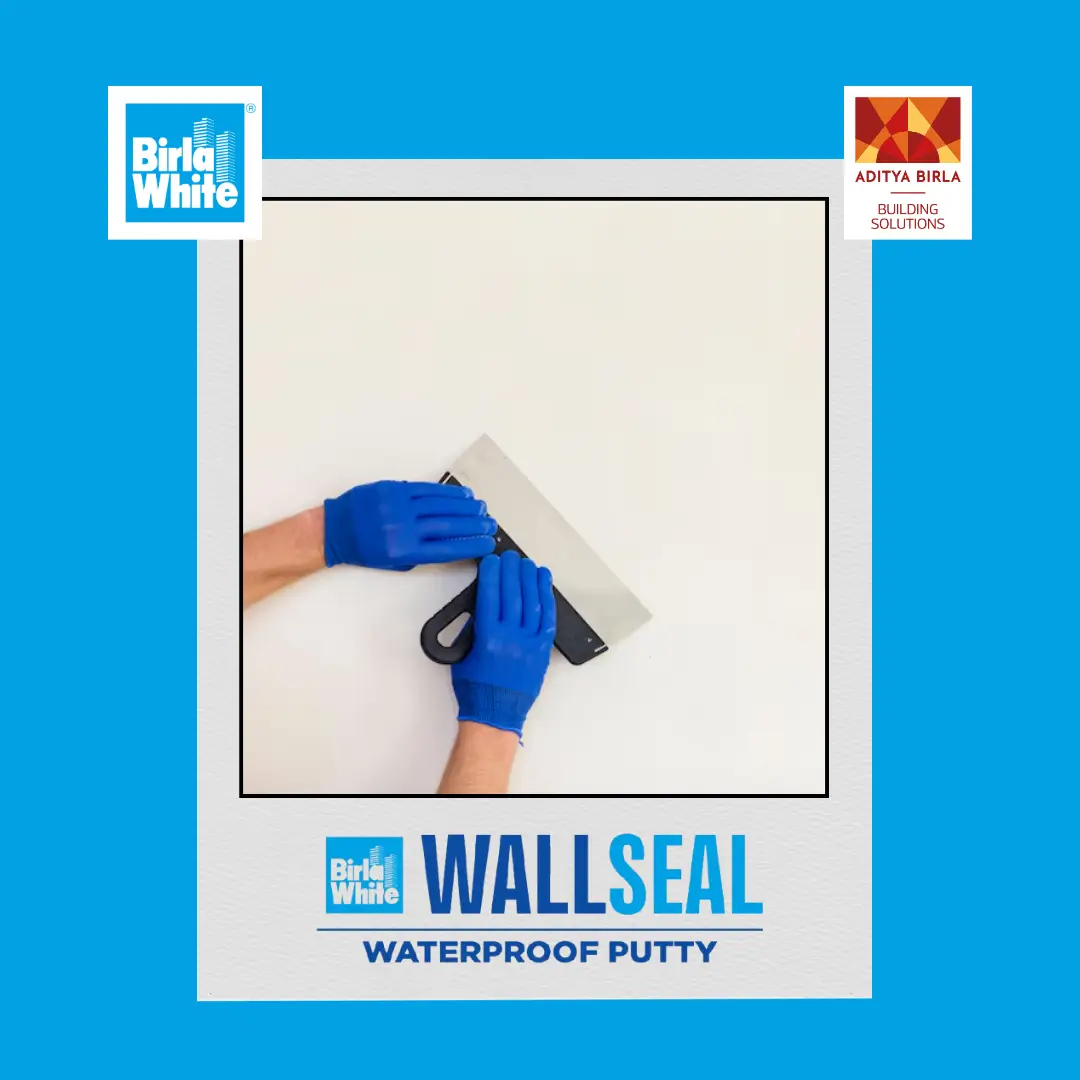 June' 25_Wallseal_Waterproof_Putty_The_Ultimate_Putty_for_Wall_Dampness (3).webp