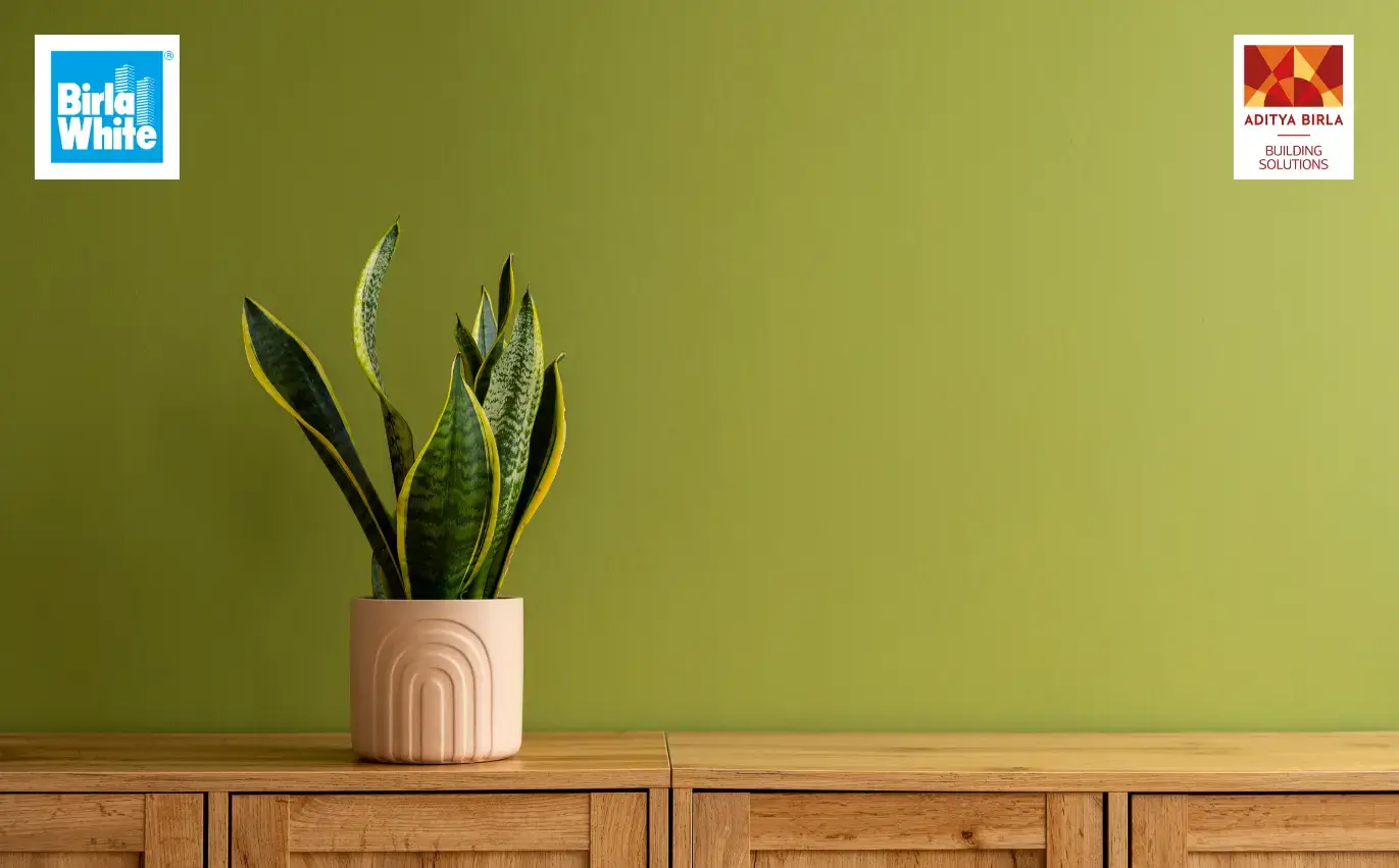 May' 25 - Interior vs Exterior Primers-Understanding the Key Differences (3).webp