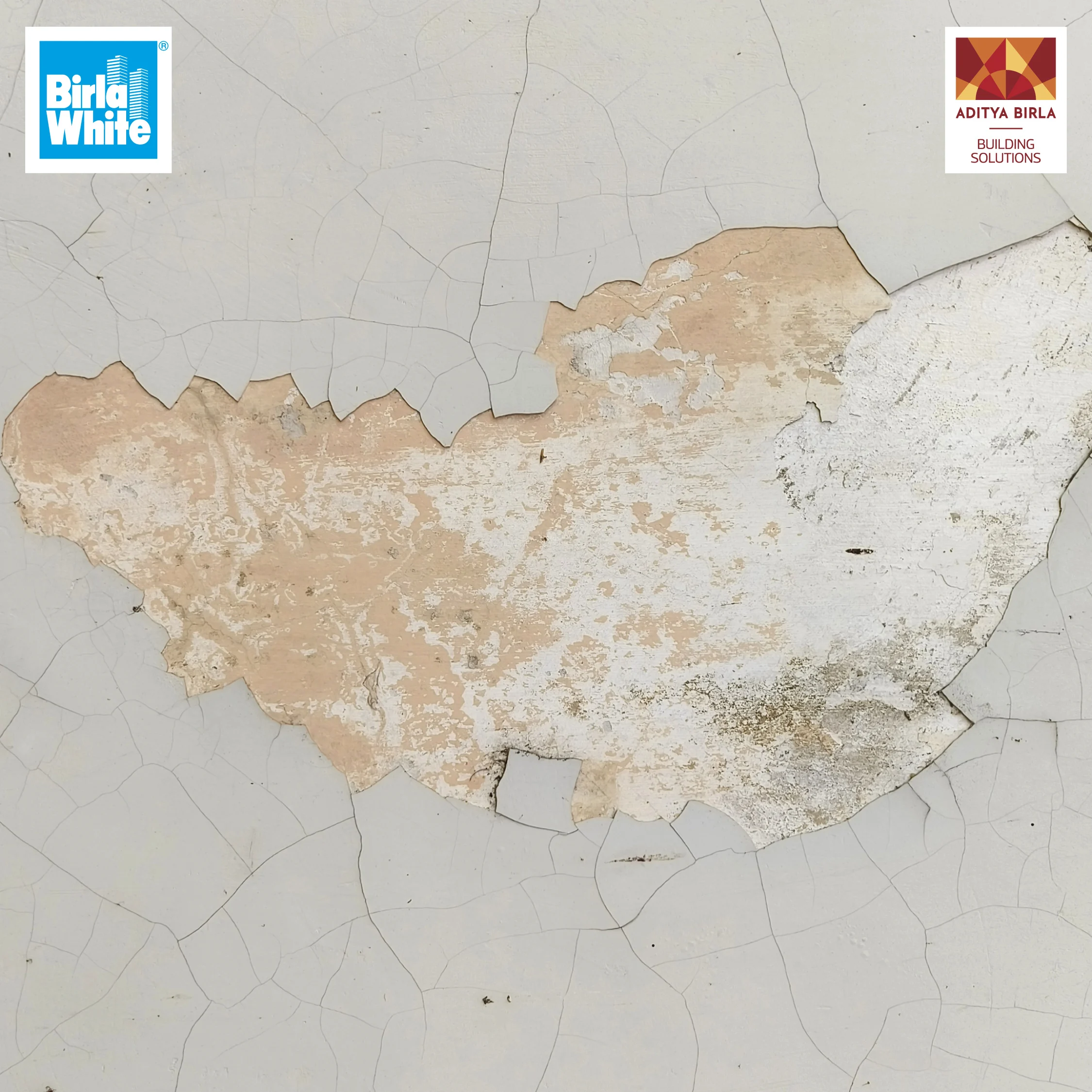 Putty Handbook Internal 1.webp