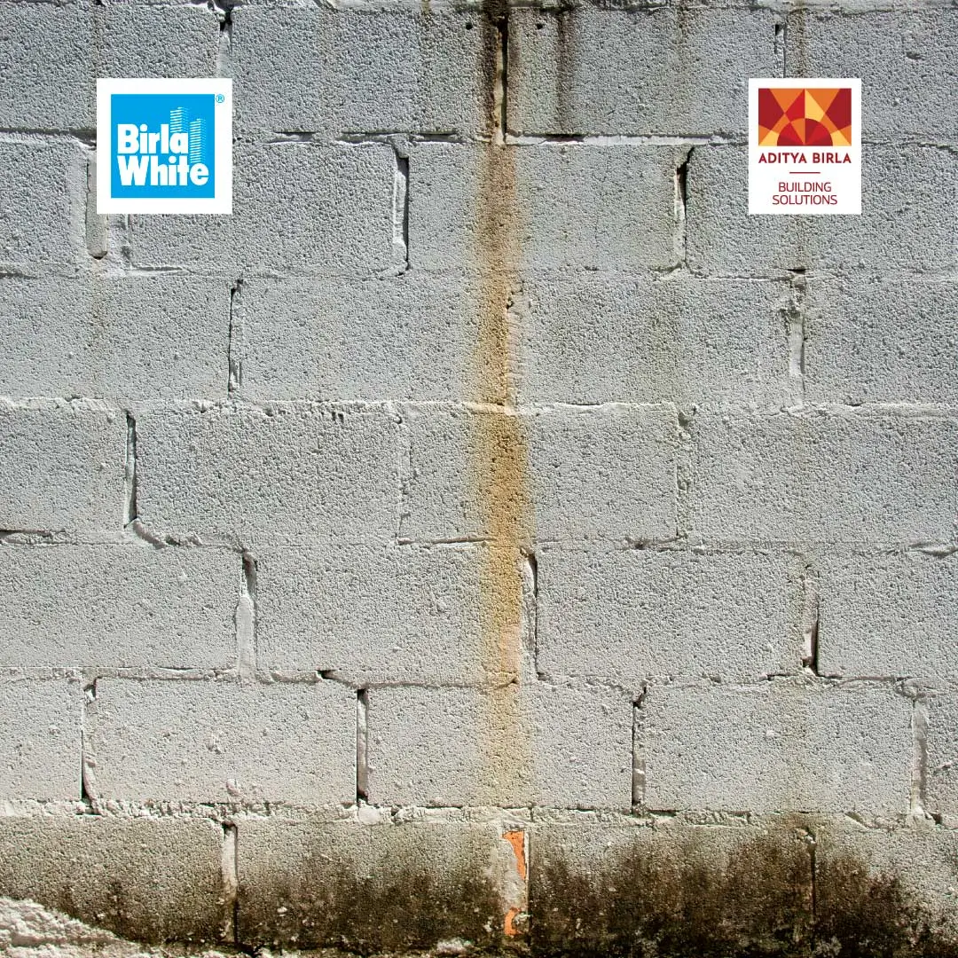 are-you-tired-of-repainting-your-walls-every-other-year-which-distemper-has-a-long-lasting-finish-1.webp