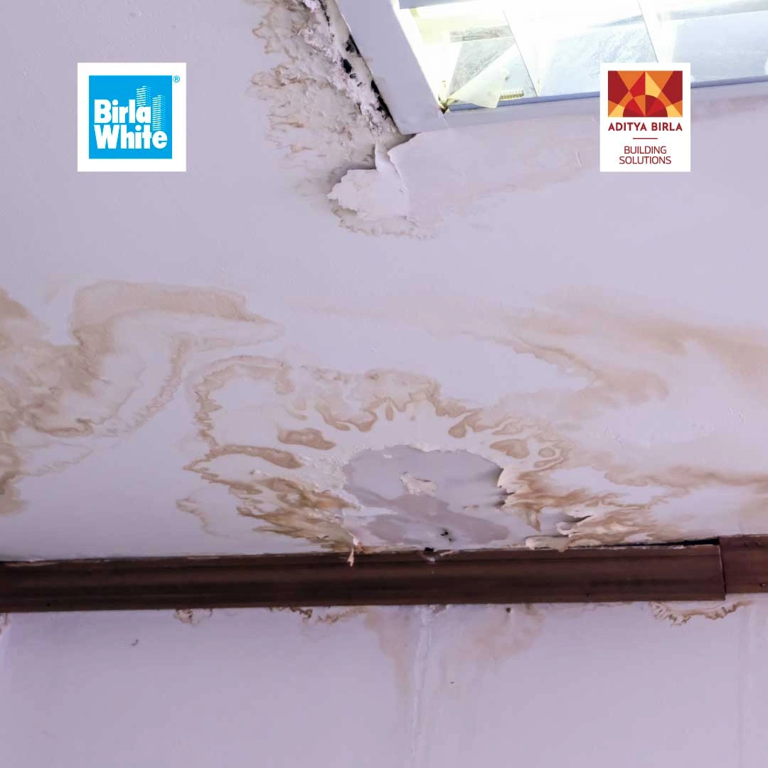 complete-guide-to-roof-and-ceiling-waterproofing-with-products-and-application-tips-1.webp