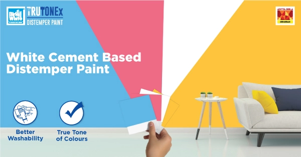distemper-paint-on-walls-exploring-features-application-and-benefits.webp