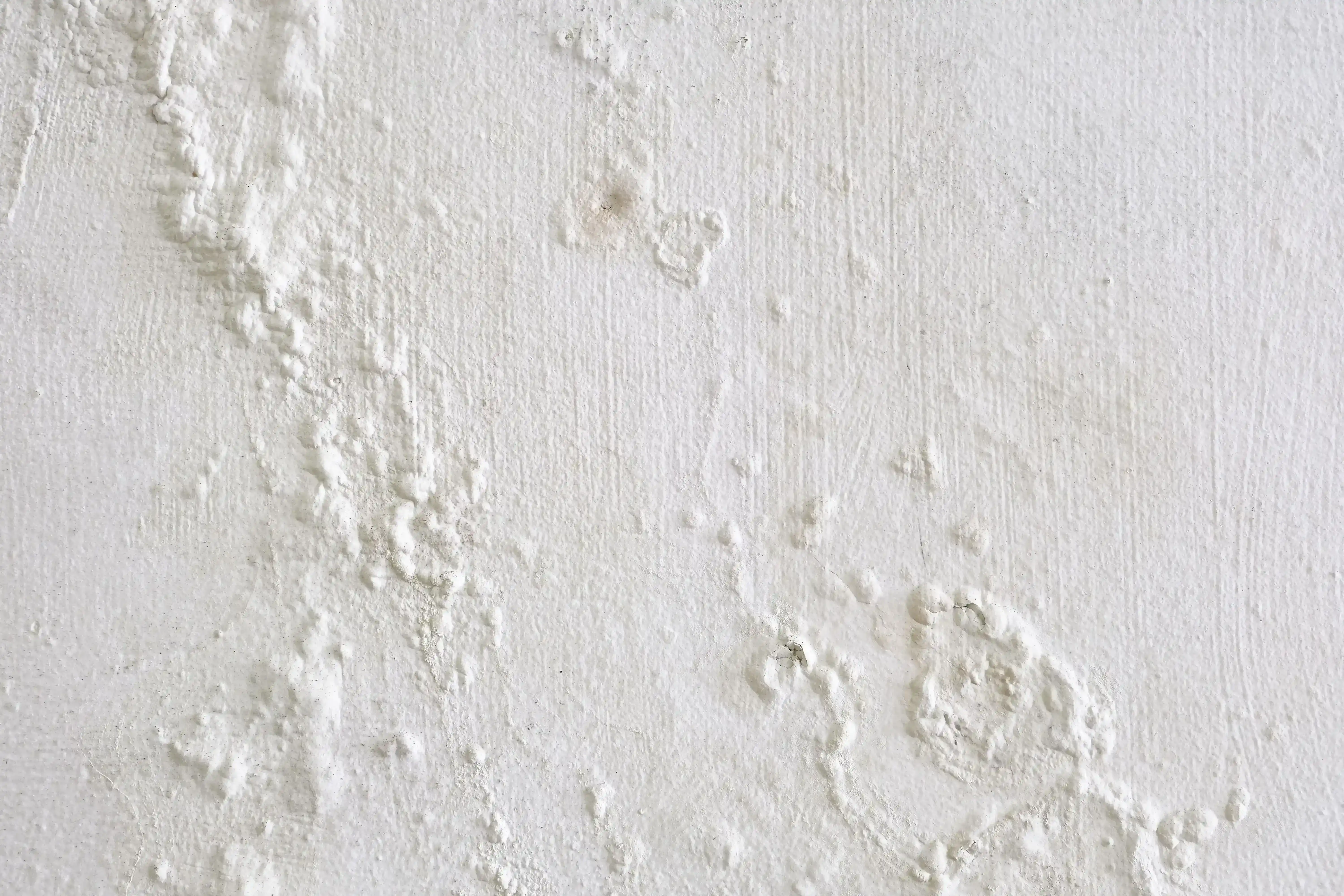 how-to-fix-water-seepage-issue-before-it-s-too-late.webp