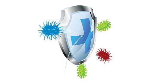 how-to-protect-your-walls-with-birla-white-bio-shield-putty.jpeg