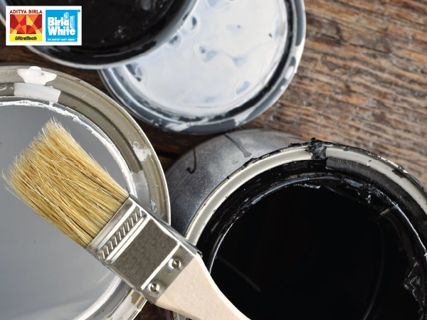 types-of-interior-paints-distemper-emulsion-etc-which-one-is-best-for-your-home-1.webp