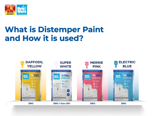 what-is-distemper-paint-and-how-it-is-used.webp